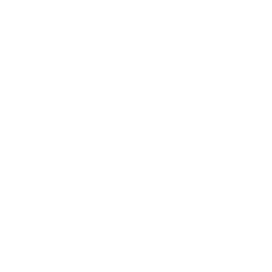 Les Echos Solutions