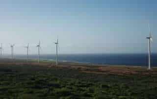 image d'eolienne devant l'océan pour l'article "En quoi consistent les offres d’électricité verte ?"