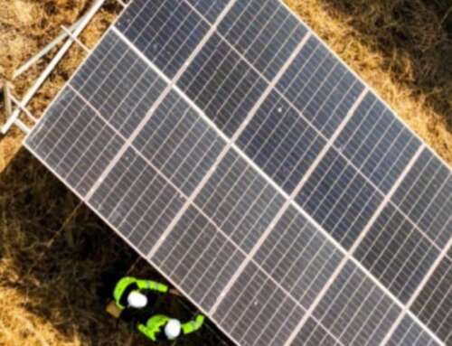 Energy Outlook – Juillet 2025